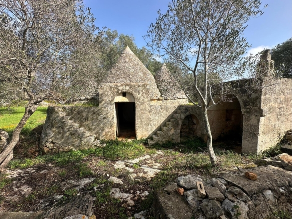 Trulli complex with fireplace, olive grove - Carovigno