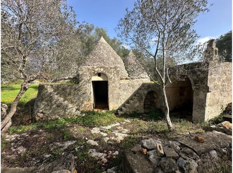 Trulli complex with fireplace, olive grove - Carovigno