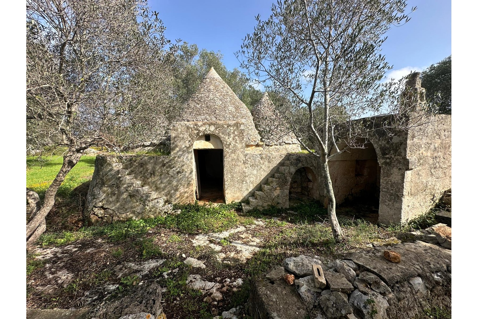 Trulli complex with fireplace, olive grove - Carovigno